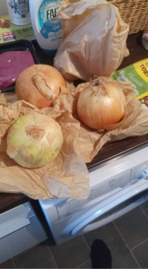 Big Onions